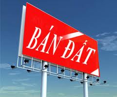 Quyền sử dụng đất của ông Hồ Văn Duyệt và bà Trần Thị Lường. Địa chỉ của tài sản: Tổ dân phố 05 Đông Hòa, phường Ninh Hải, thị xã Ninh Hòa, tỉnh Khánh Hòa 